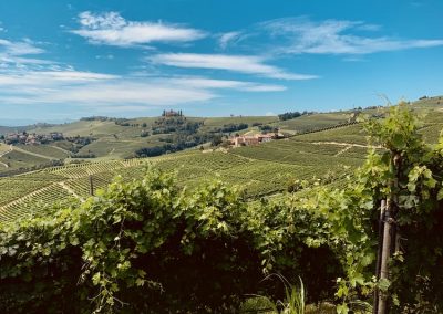 SVILUPPO PIEMONTE TURISMO
