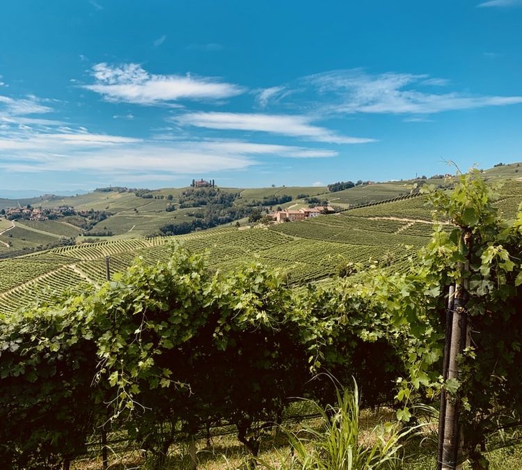 SVILUPPO PIEMONTE TURISMO